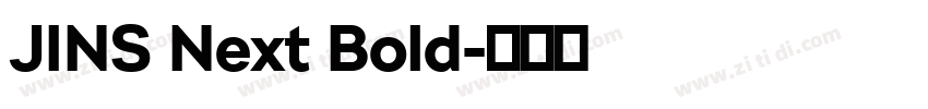 JINS Next Bold字体转换